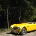 britishv-8
