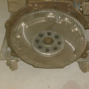 HPIM7452 (640x486)