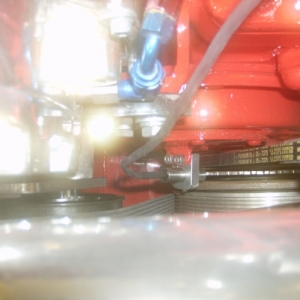 HPIM7536 (640x486)