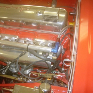 HPIM7540 (640x486)