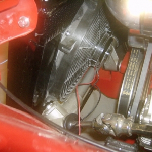 HPIM7550 (640x486)