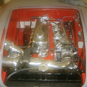 HPIM7863 (Medium)