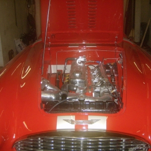 HPIM7993 (Medium)