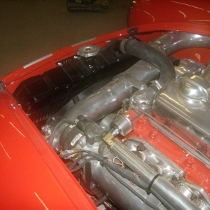 HPIM7996 (Medium)