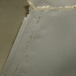 HPIM5069 (Small)