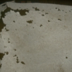 HPIM5079 (Small)