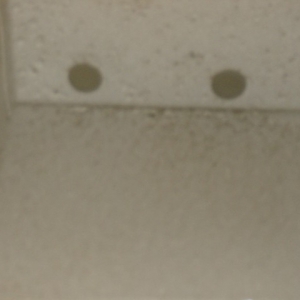 HPIM5099 (Small)
