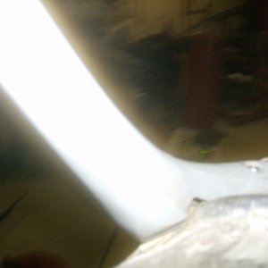 HPIM5187 (Small)