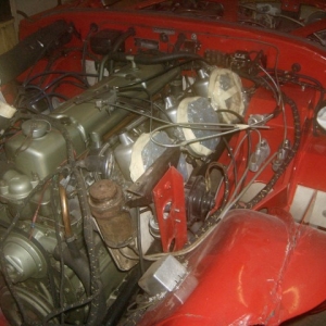 HPIM6707 (Small)
