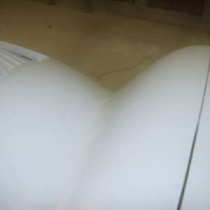 HPIM6820 (Small)