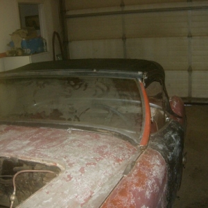 HPIM6970 (Small)