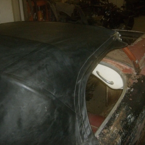 HPIM6973 (Small)