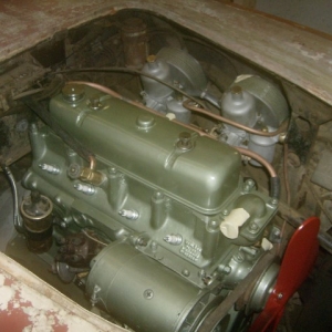 HPIM7021 (Small)