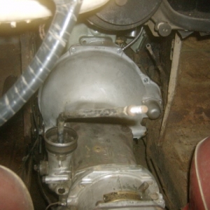 HPIM7026 (Small)