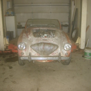 HPIM7029 (Small)