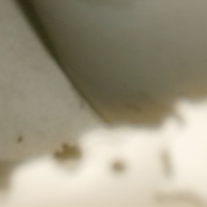 2014-05-04- (358) (Small)