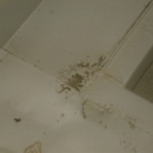 2014-05-04- (359) (Small)