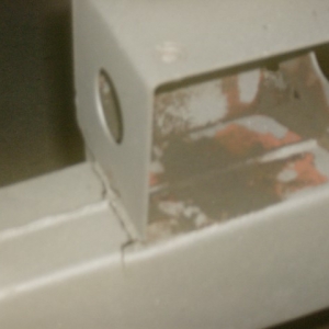 HPIM7147 (Small)