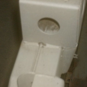 HPIM7148 (Small)