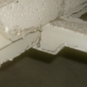 HPIM7160 (Small)