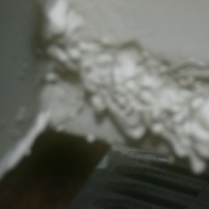 HPIM7169 (Small)