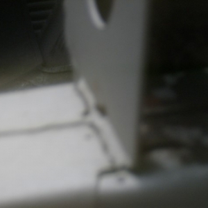 HPIM7172 (Small)