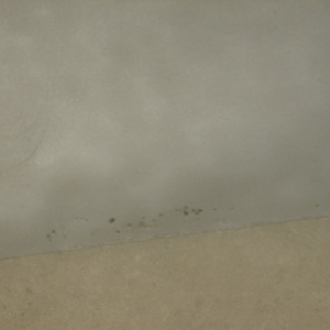 2014-05-21 (27) (Small)