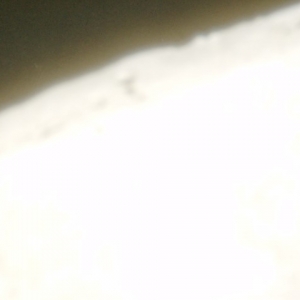 2014-05-21 (35) (Small)