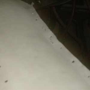 2014-05-21 (38) (Small)
