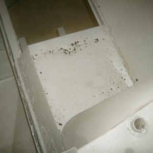 HPIM5788 (Small)