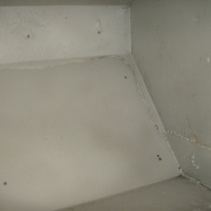 HPIM5806 (Small)