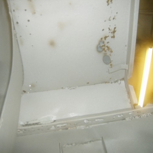 HPIM5813 (Small)