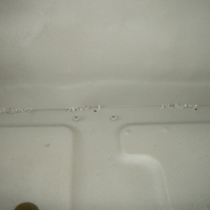 HPIM5814 (Small)