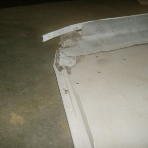 HPIM5883 (Small)